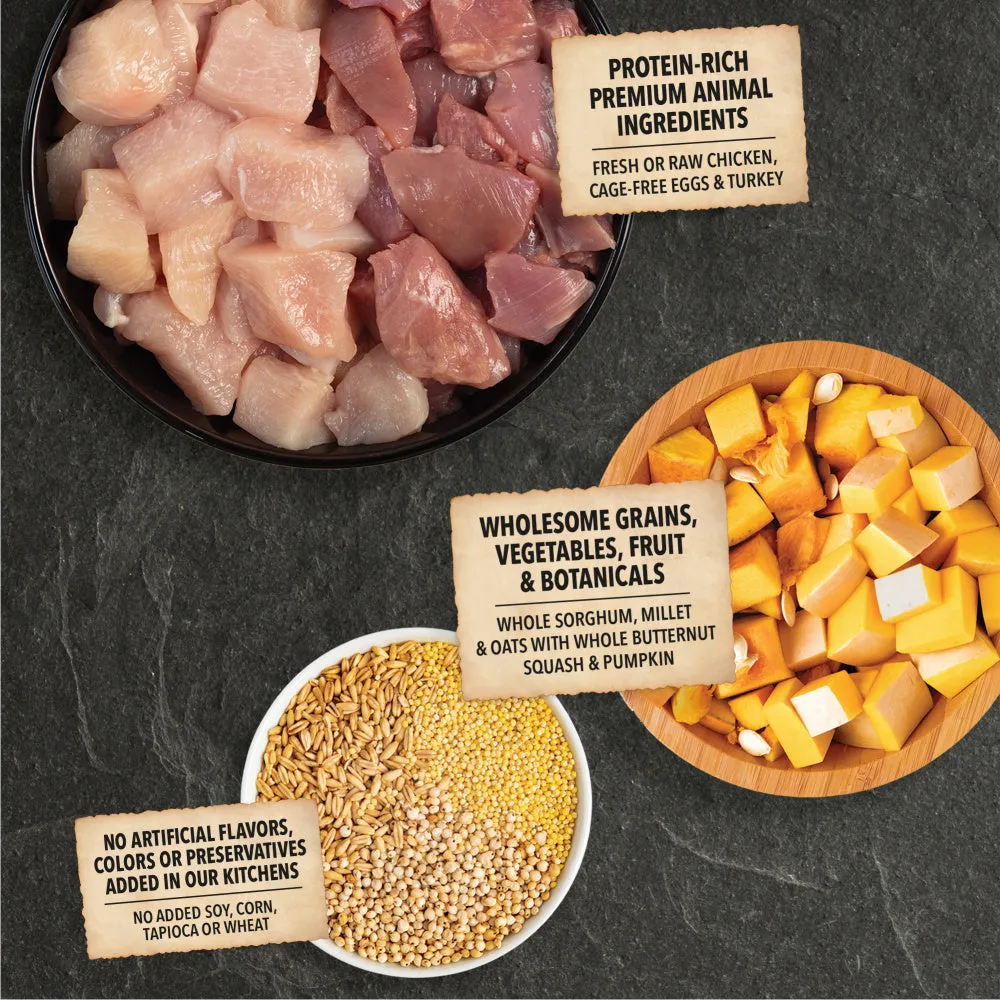 ACANA Puppy Wholesome Grains Real Chicken, Eggs & Turkey Dry Dog Food