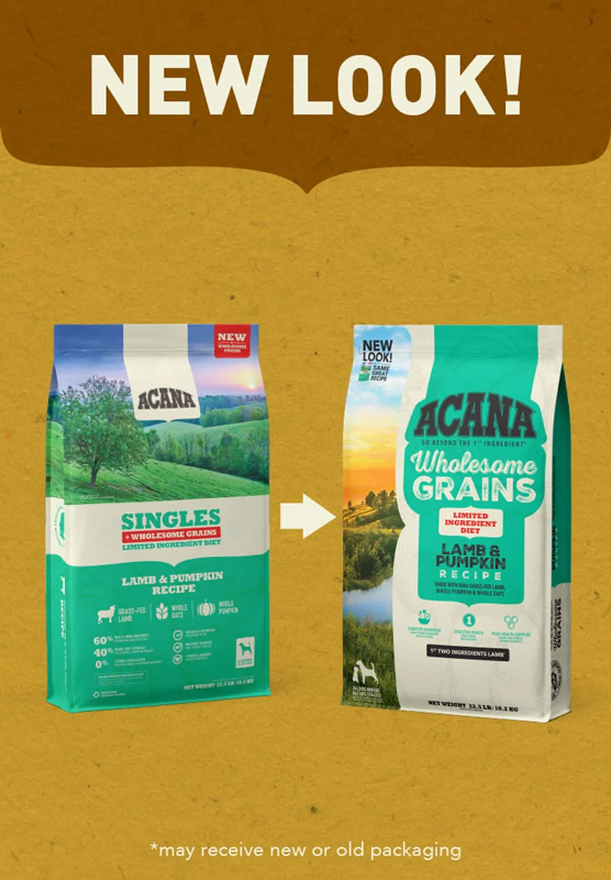 ACANA Wholesome Grains Lamb & Pumpkin Limited Ingredient Dry Dog Food