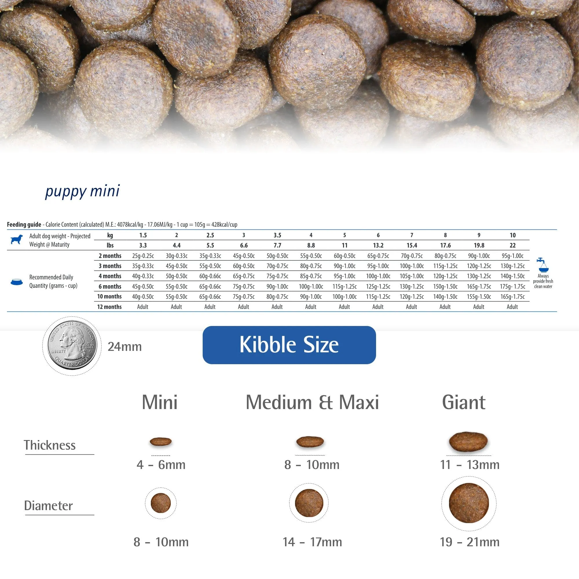 Farmina N&D Ancestral Grain Lamb & Blueberry Mini Puppy Dry Dog Food