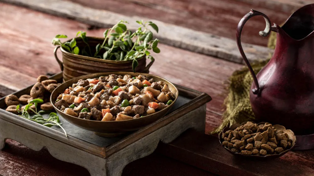 Fromm Frommbalaya Beef, Vegetable, & Rice Stew Canned Dog Food