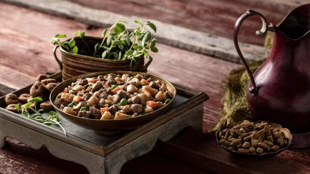 Fromm Frommbalaya Beef, Vegetable, & Rice Stew Canned Dog Food