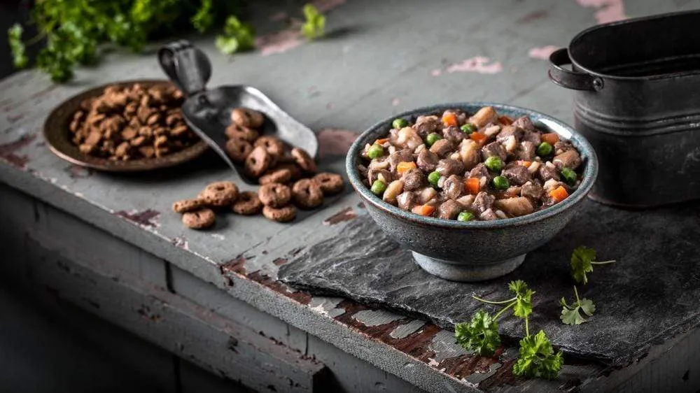 Fromm Frommbalaya Lamb, Vegetable, & Rice Stew Canned Dog Food