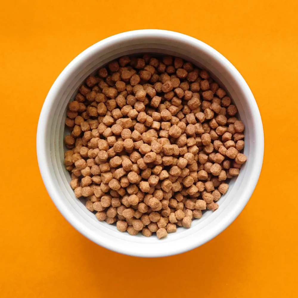 Fromm Gold Healthy Weight Dry Cat Food