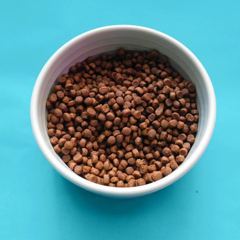 Fromm Gold Kitten Dry Cat Food