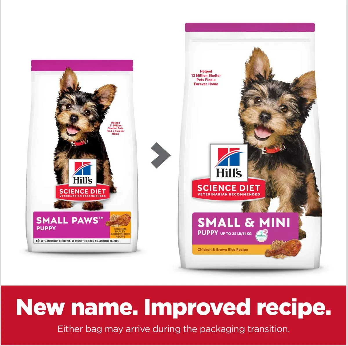 Hill's Science Diet Puppy Small & Mini Chicken Recipe Dry Dog Food