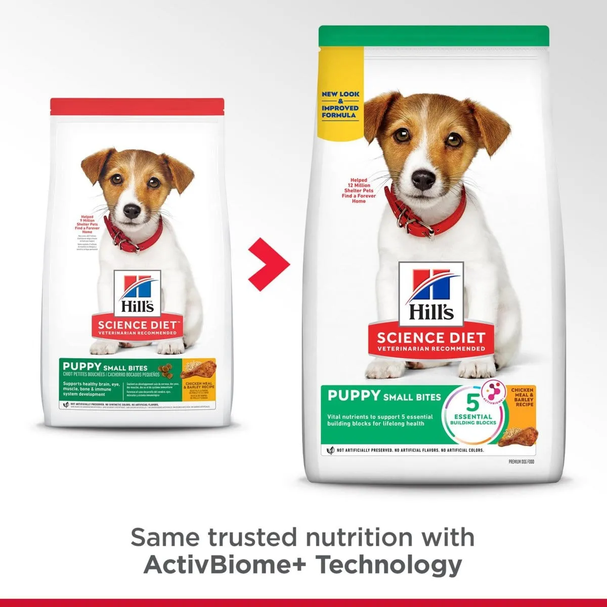 Hill's Science Diet Puppy Small Bites Chicken Recipe Dry Dog Food