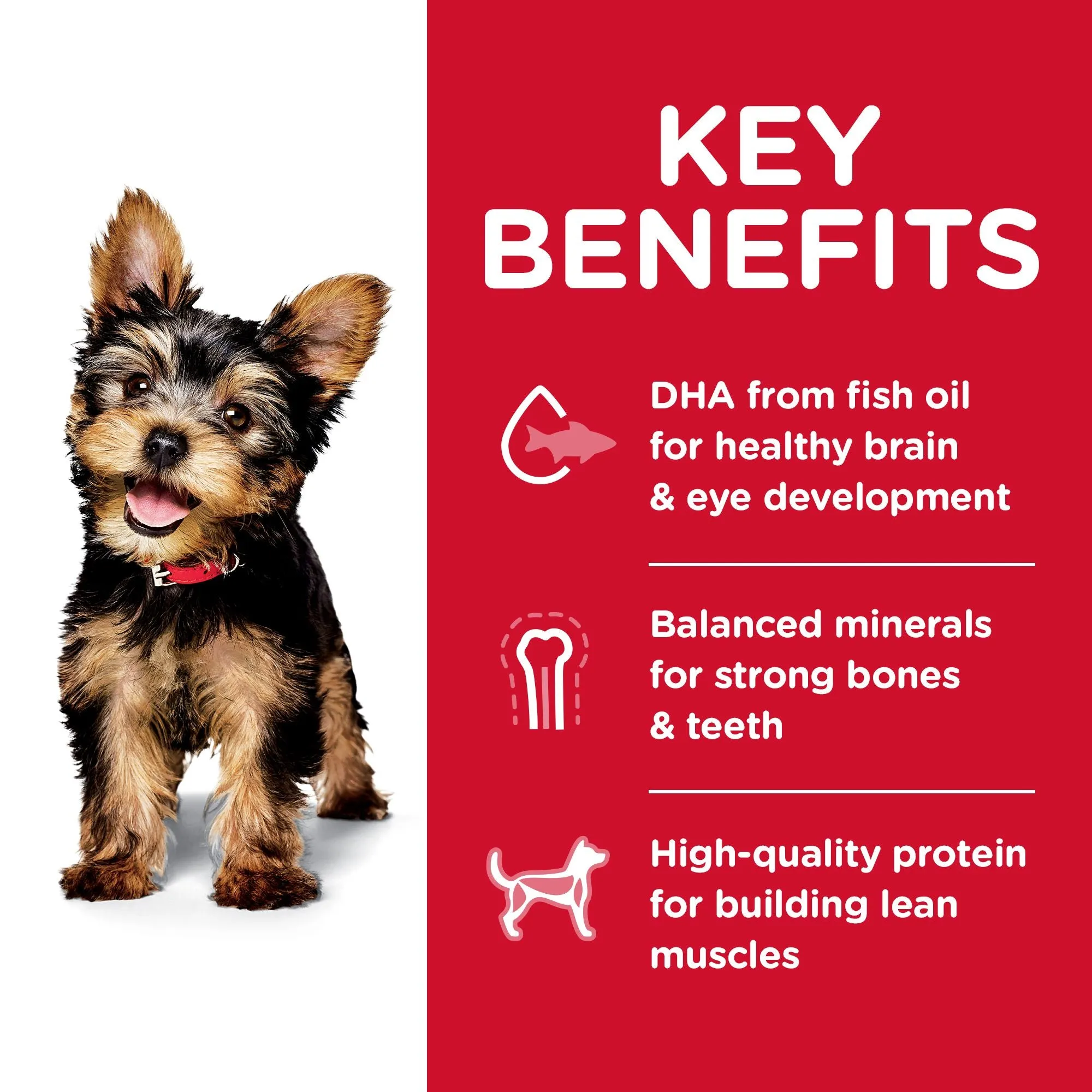 Hill's Science Diet Puppy Small Paws Dry Dog Food, Chicken Meal, Barley & Brown Rice Recipe