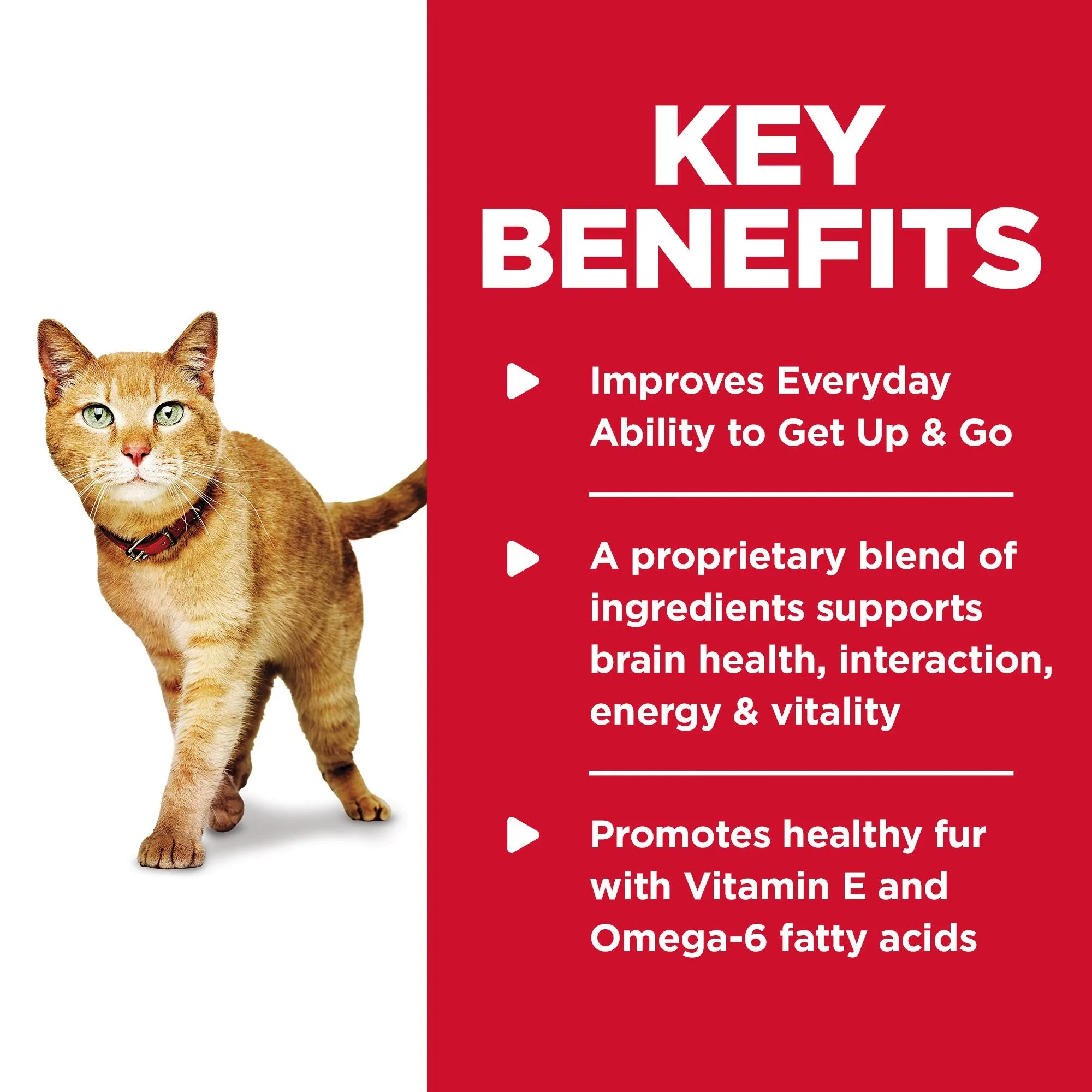 Hill's Science Diet Senior 7  Senior Vitality Dry Cat Food, Chicken & Rice Recipe