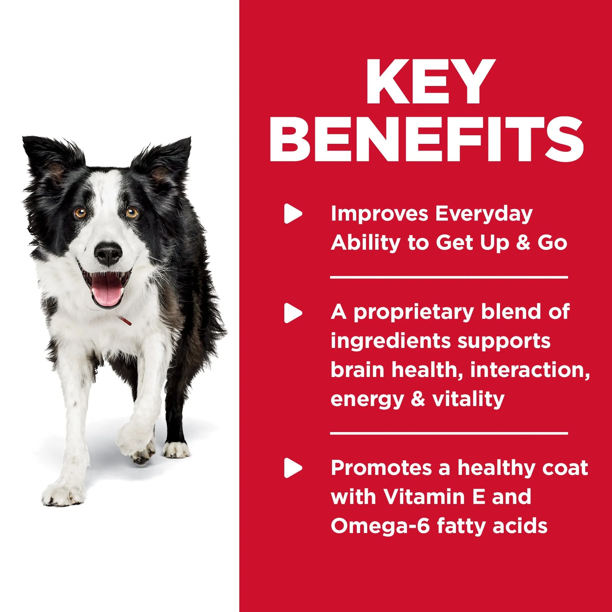 Hill's Science Diet Senior 7  Senior Vitality Dry Dog Food, Chicken & Rice Recipe