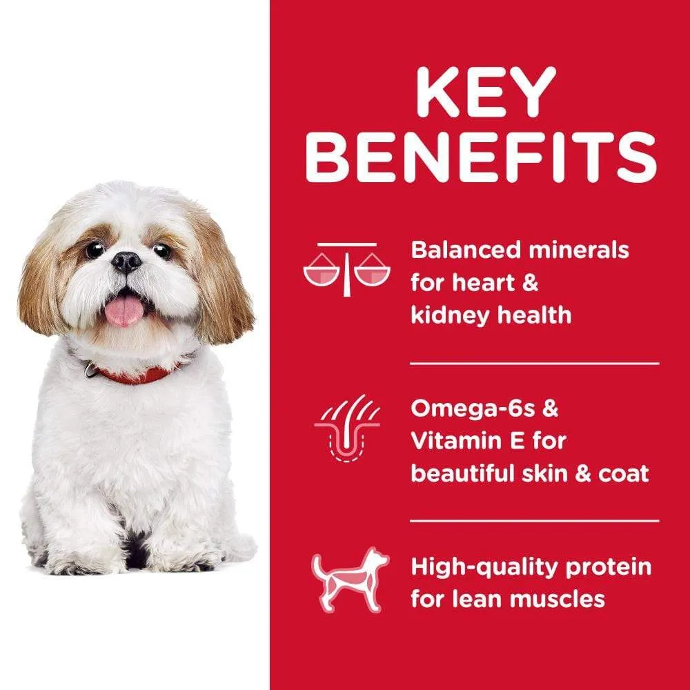 Hill's Science Diet Senior 7  Small Bites Chicken Meal, Barley & Brown Rice Recipe Dry Dog Food