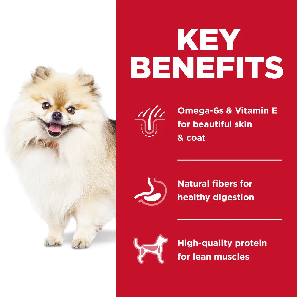 Hill's Science Diet Small Bites No Corn, Wheat, Soy Chicken Small Breed Adult Dry Dog Food