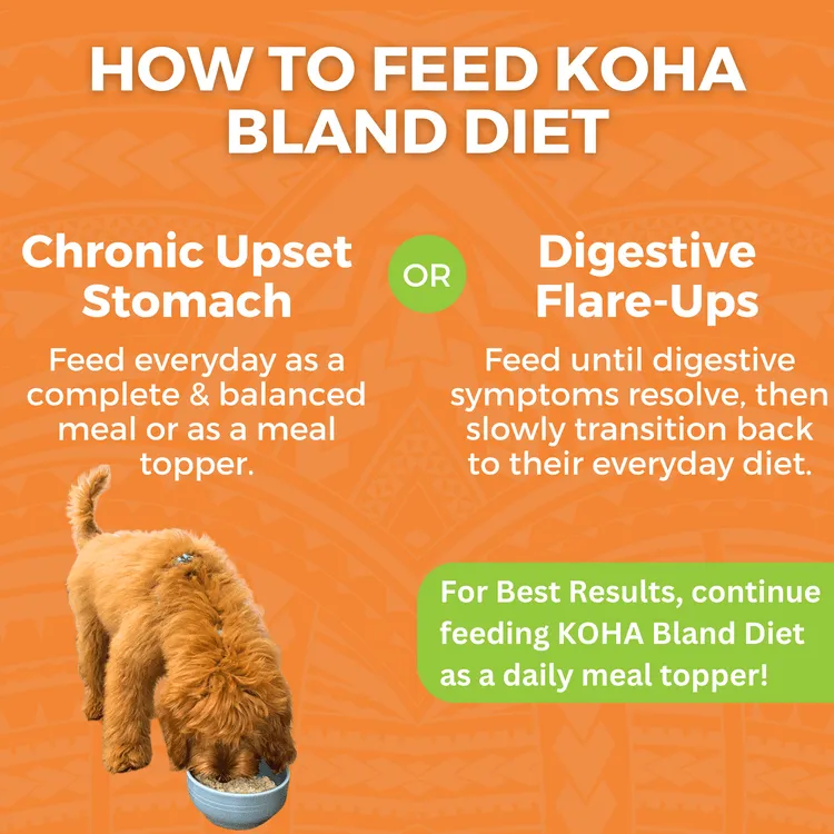 KOHA Limited Ingredient Bland Diet Chicken & White Rice Recipe Wet Dog Food Pouch