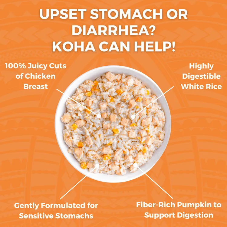 KOHA Limited Ingredient Bland Diet Chicken & White Rice Recipe Wet Dog Food Pouch