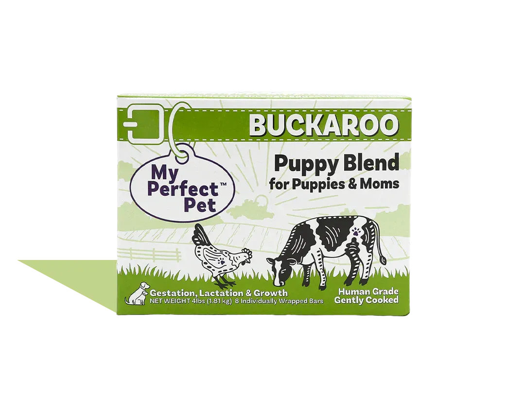 My Perfect Pet Buckaroo Puppy Blend