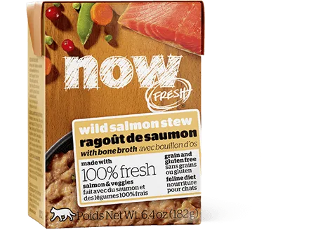 Now Fresh Grain Free Wild Salmon Stew For Cats