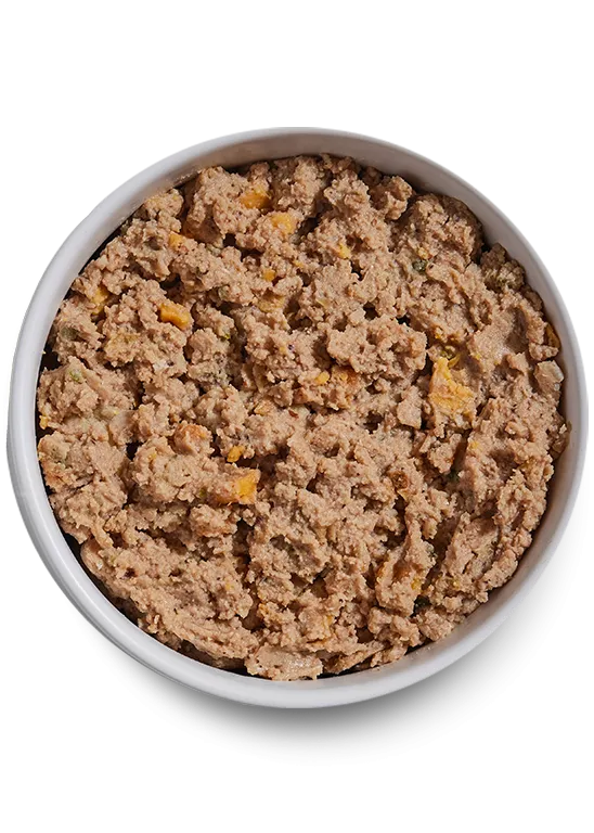 Open Farm Grain Free Puppy Chicken & Salmon Pate Wet Dog Food