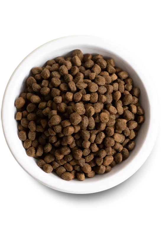 Open Farm Senior Grain-Free Dry Dog Food