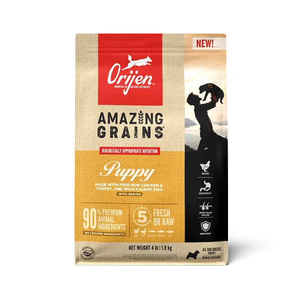ORIJEN High Protein Amazing Grains Puppy Dry Dog Food