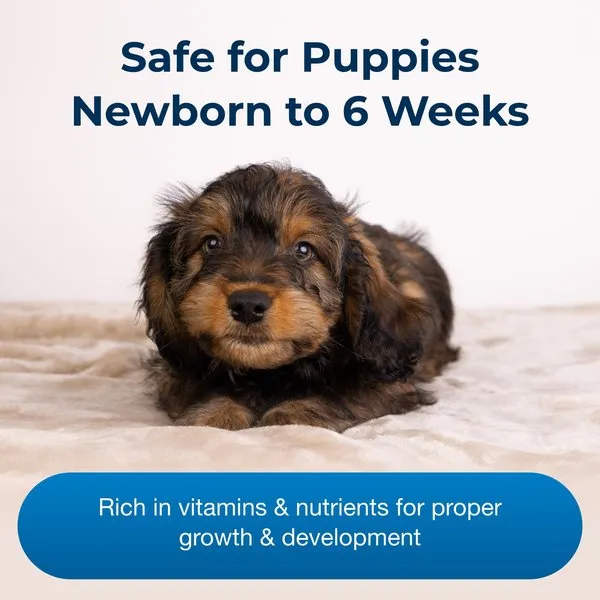 PetAg Esbilac Puppy Milk Replacer Powder Supplement for Dogs
