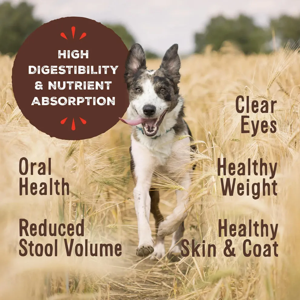 Primal Freeze Dried Nuggets Grain Free Chicken Formula Dog Food