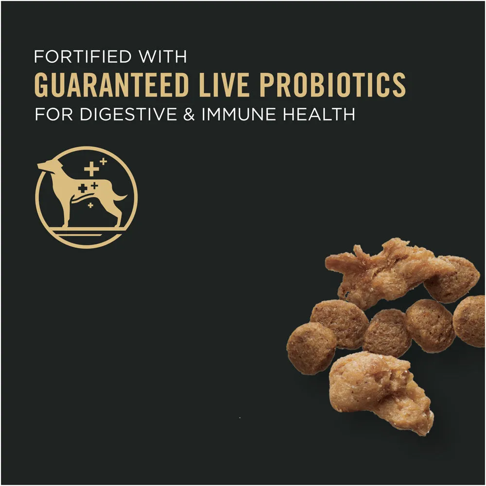 Purina Pro Plan Specialized Shredded Blend Beef & Rice Formula High Protein Small Breed Dry Dog Food
