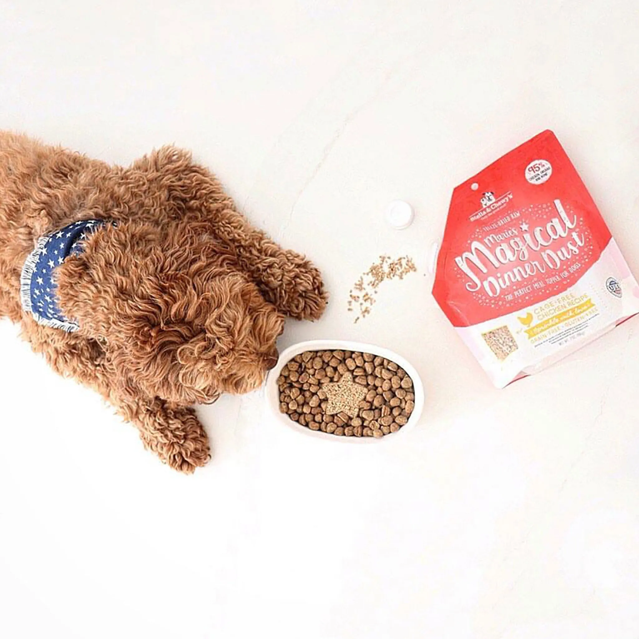 Stella & Chewy's Dinner Dust Beef Dog Food