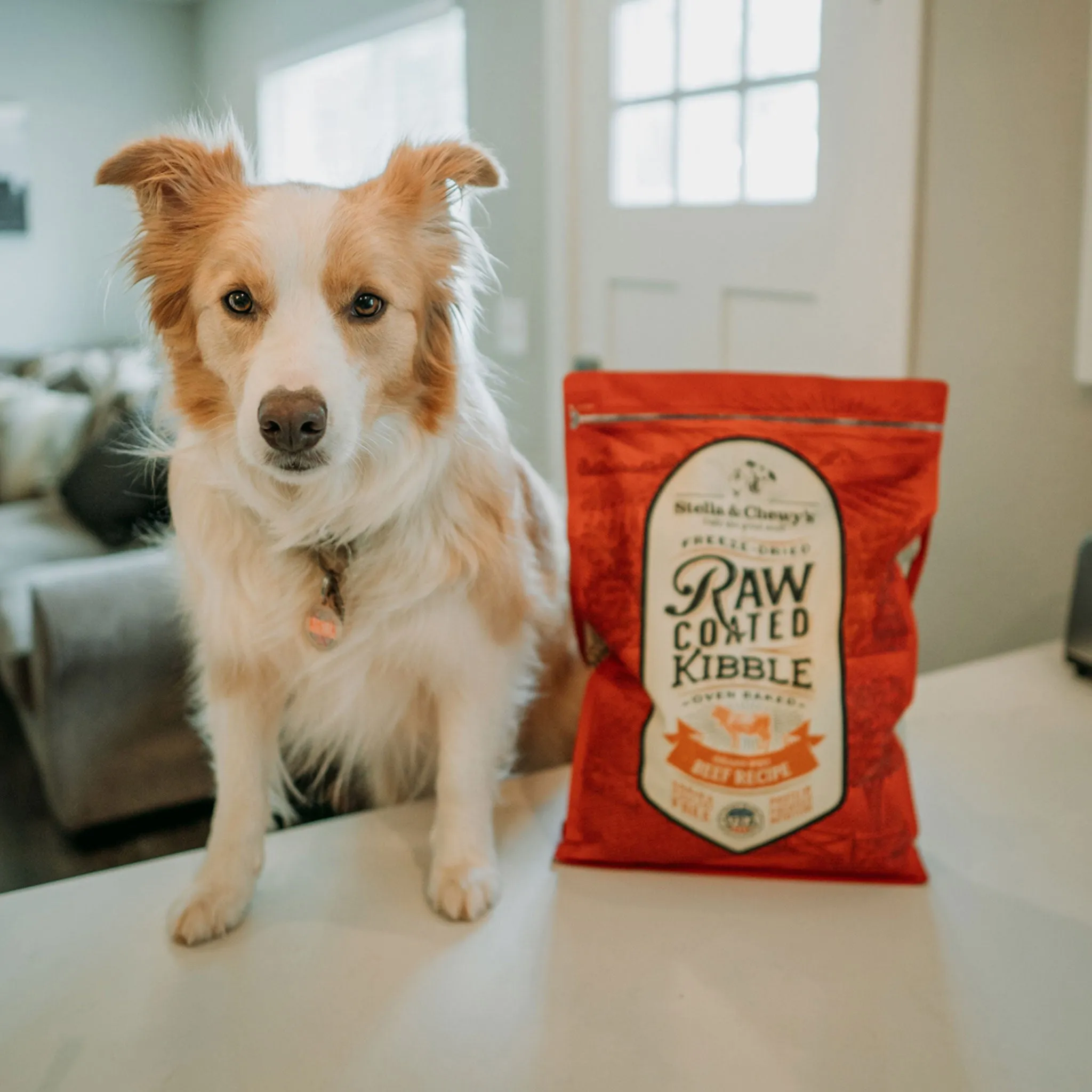 Stella & Chewy's Raw Coated Beef Dog Food