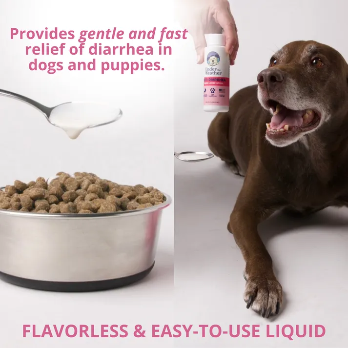 Under the Weather Anti-Diarrhea Liquid Supplement For Dogs