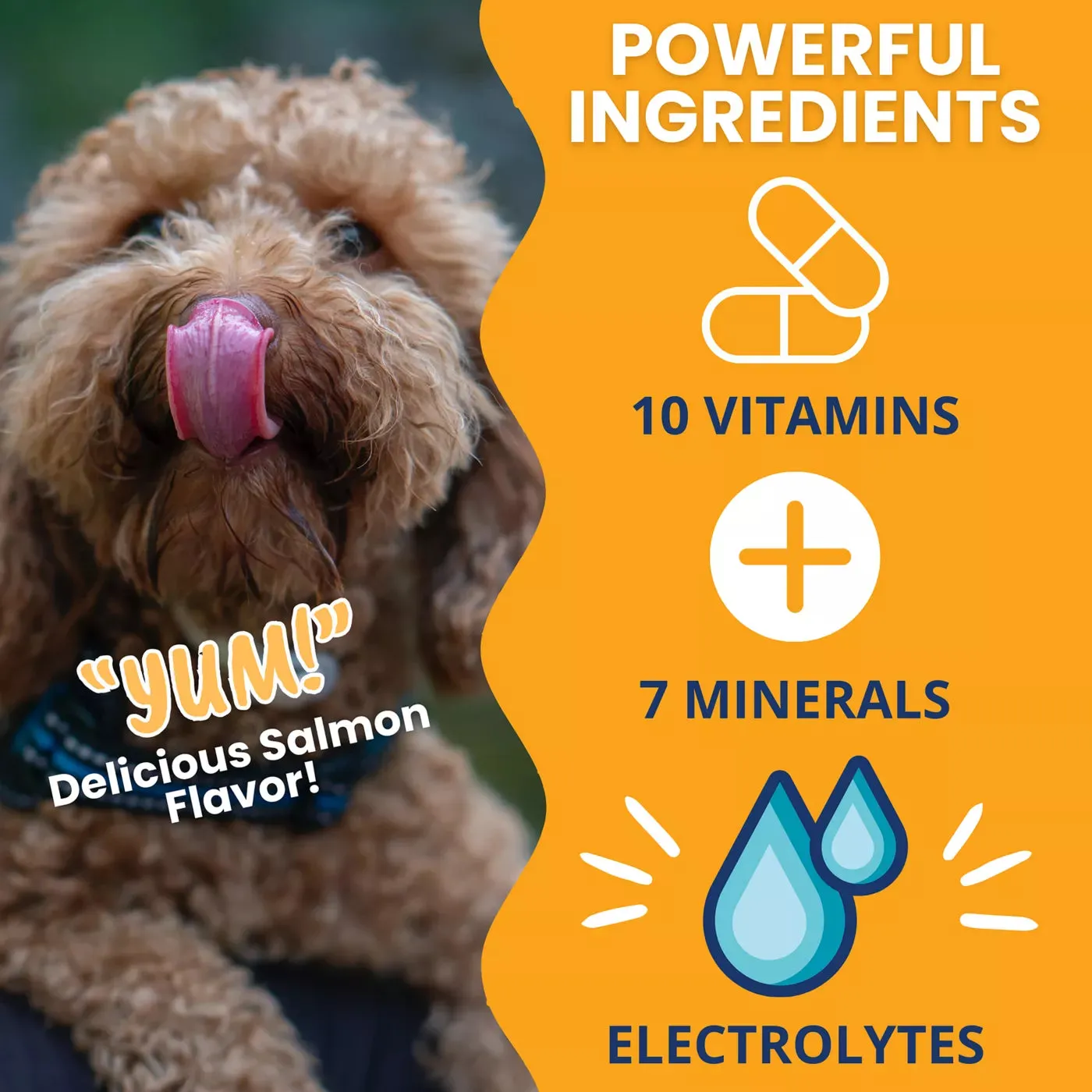 Under the Weather Ready Cal Plus Electrolytes High-Calorie Supplement for Dogs