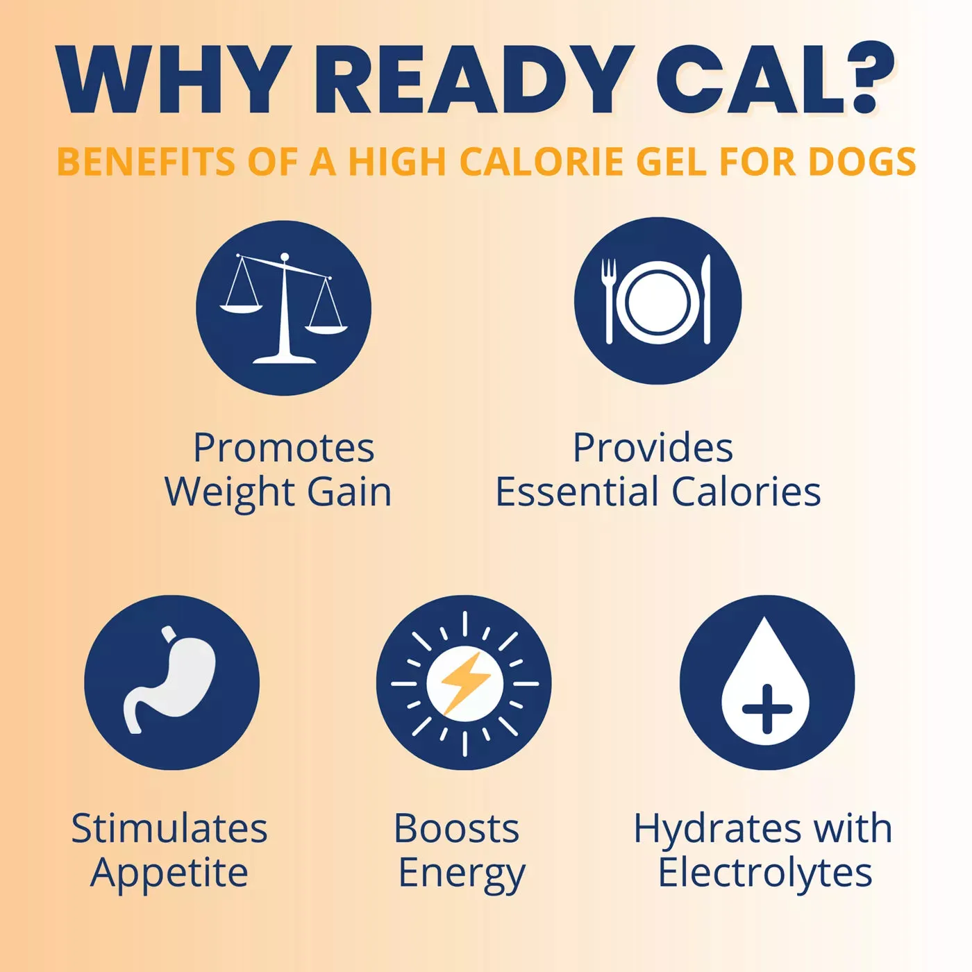 Under the Weather Ready Cal Plus Electrolytes High-Calorie Supplement for Dogs
