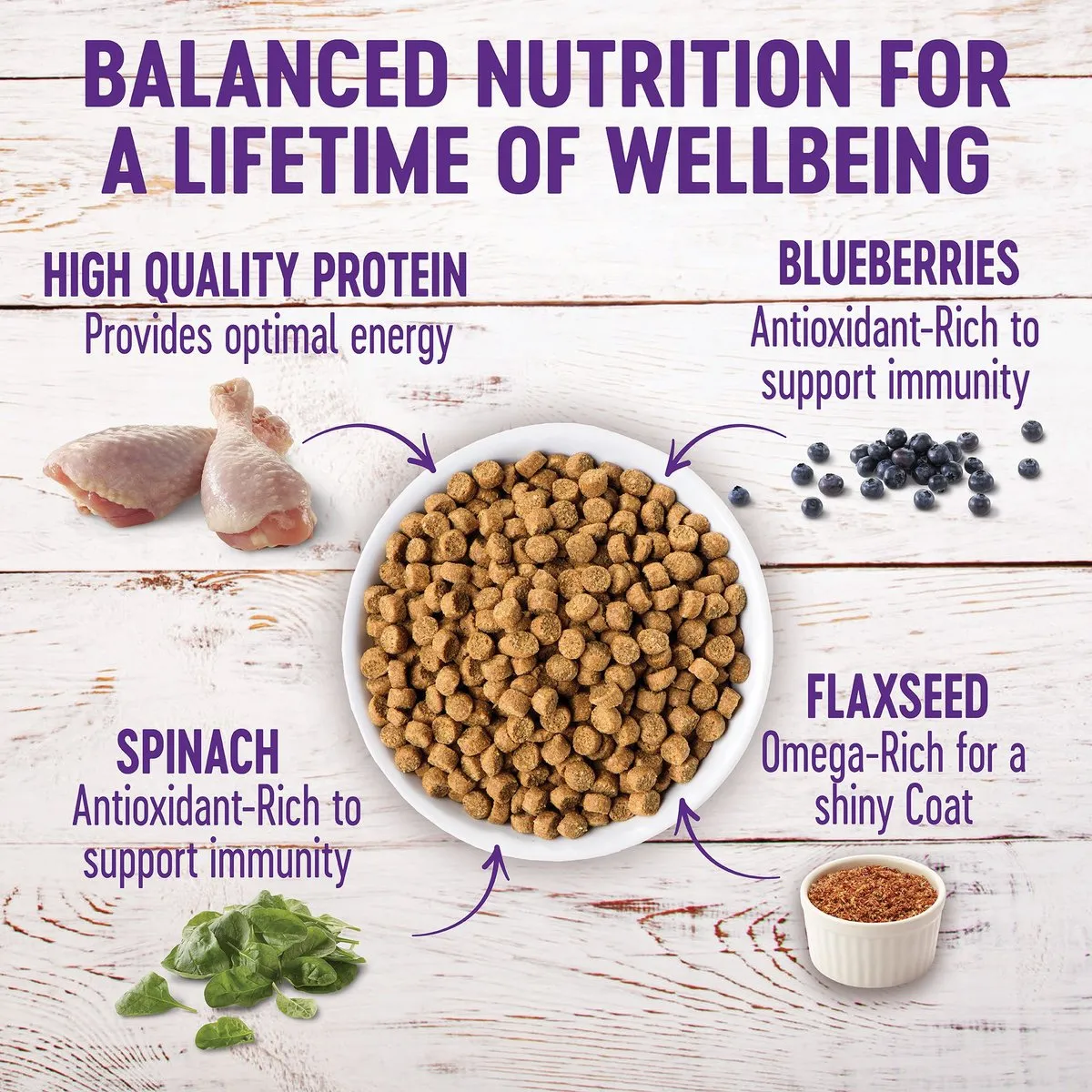 Wellness Complete Health Grain Free Puppy Deboned Chicken, Chicken Meal and Salmon Meal Recipe Dry Dog Food