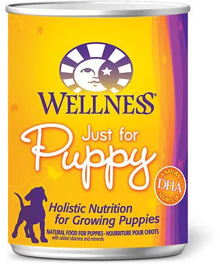 Wellness Complete Health Natural Just for Puppy Chicken and Salmon Recipe Wet Canned Dog Food