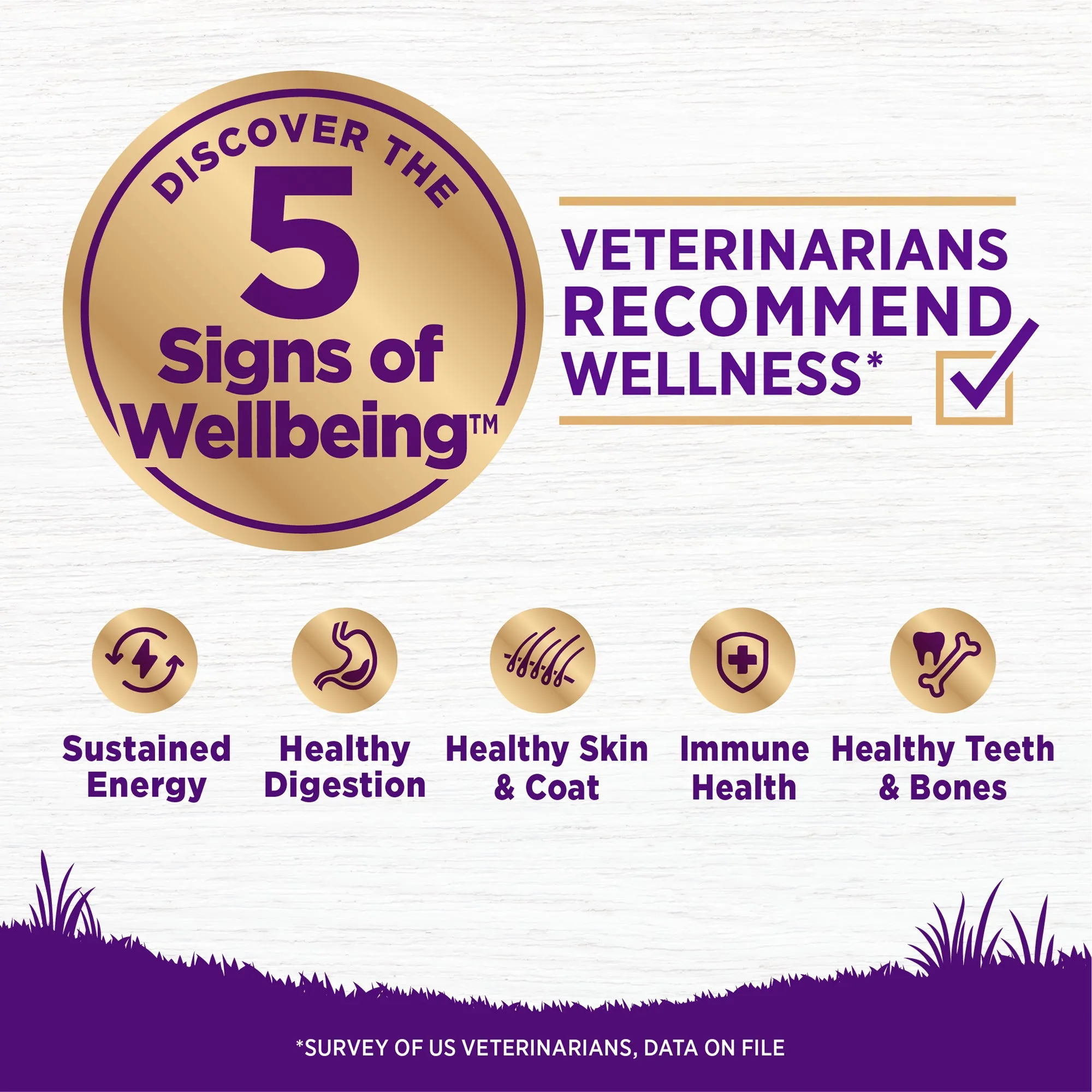 Wellness Complete Health Puppy Chicken, Oatmeal & Salmon Dry Dog Food