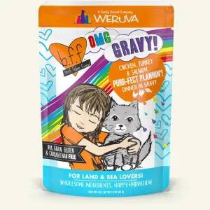 Weruva BFF Oh My Gravy Purr-Fect Plannin Grain Free Chicken, Turkey, & Salmon in Gravy Wet Cat Food Pouch