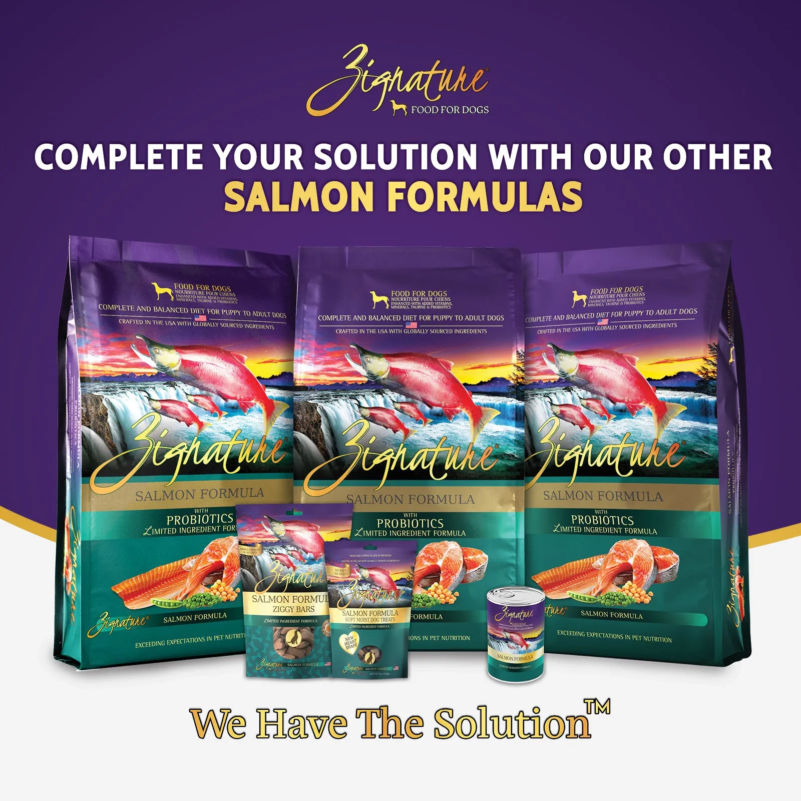 Zignature Salmon Canned Dog Food