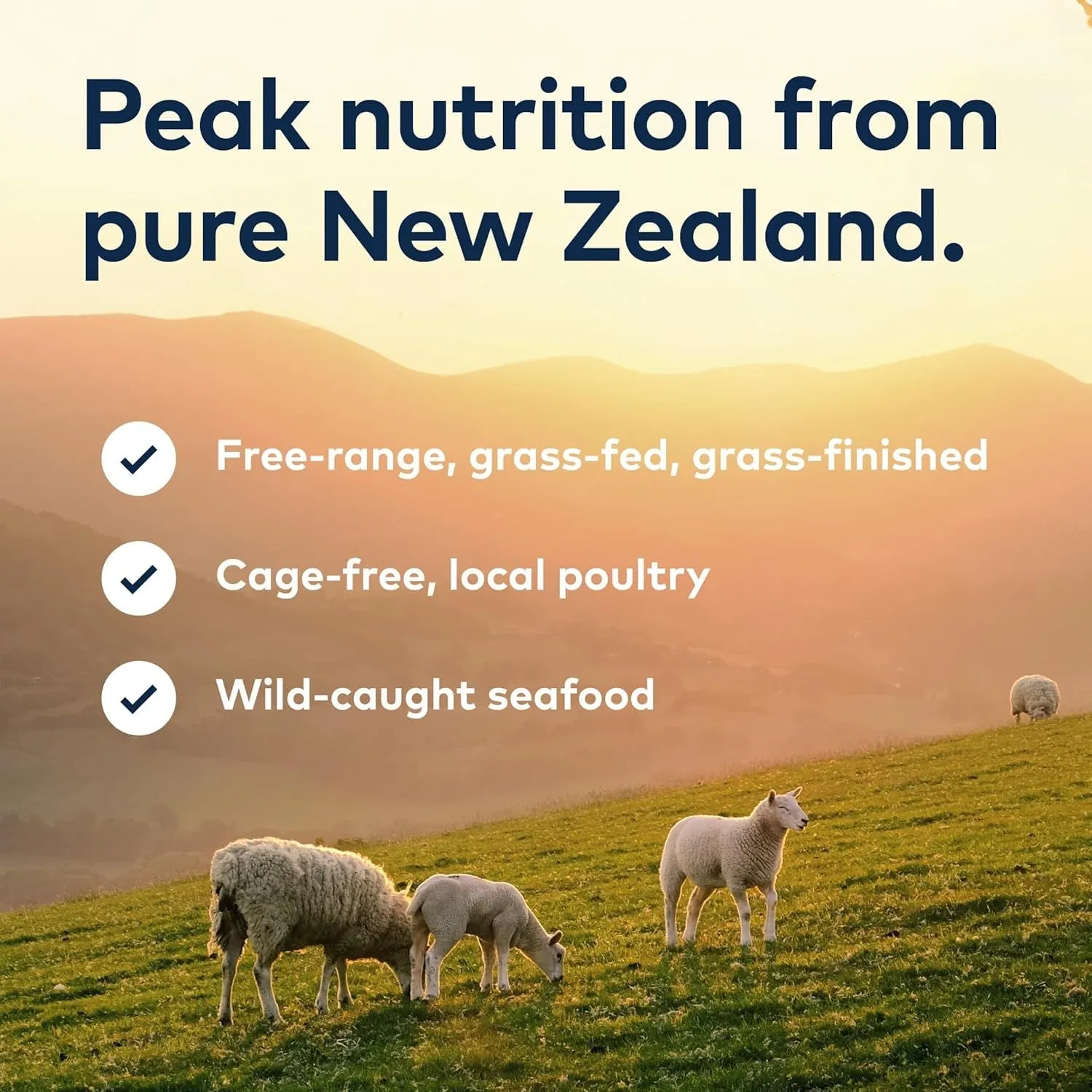 ZIWI Peak Grain Free Air-Dried Free-Range Chicken Recipe Dry Dog Food